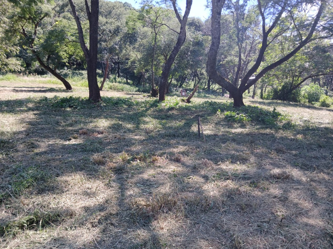 TERRENOS EN VENTA - CHACRA DE PULARES ( CHICOANA)
