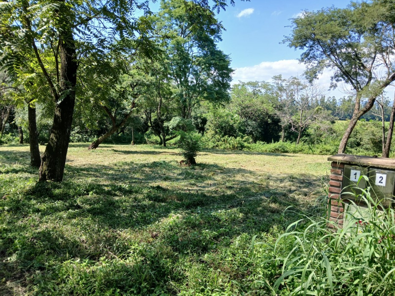 TERRENOS EN VENTA - CHACRA DE PULARES ( CHICOANA)