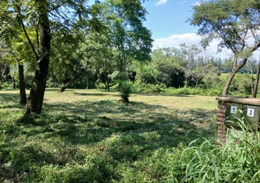 TERRENOS EN VENTA - CHACRA DE PULARES ( CHICOANA)